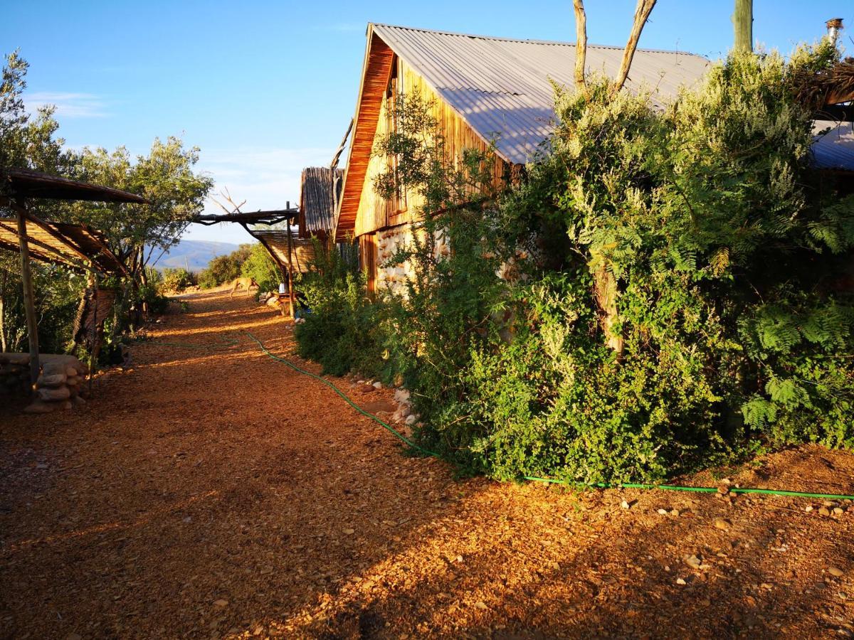 Amber Lagoon Backpackers Lodge Vleirivier Eksteriør billede