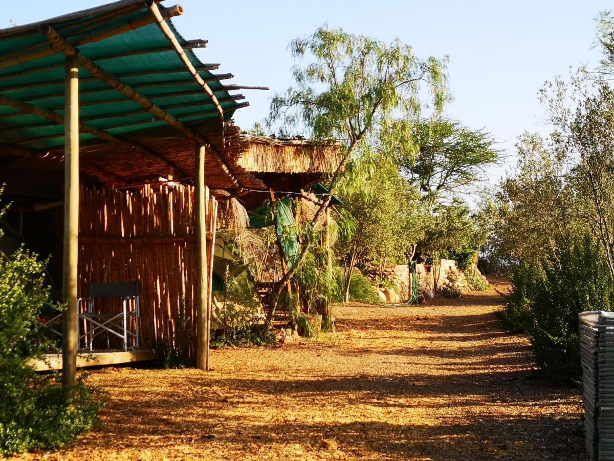 Amber Lagoon Backpackers Lodge Vleirivier Eksteriør billede