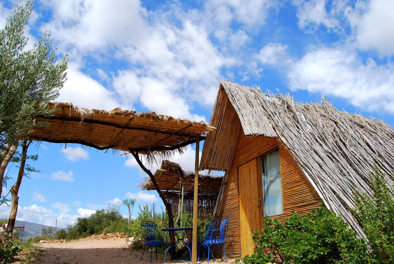 Amber Lagoon Backpackers Lodge Vleirivier Eksteriør billede